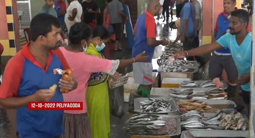 SL fishermen in dire straits due to low demand